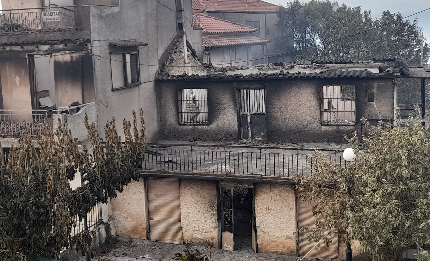 αποζημιώσεις πυρόπληκτων