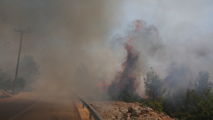 αποζημιώσεις πυρόπληκτοι