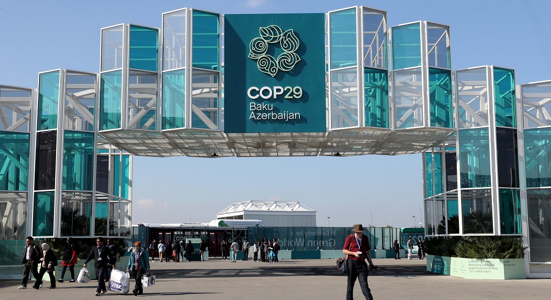 COP29