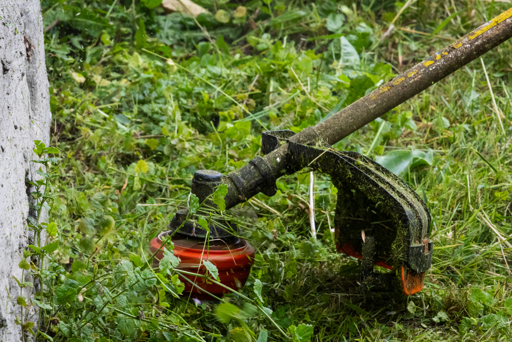 Close view of a string trimmer head slicing weeds beside a rough